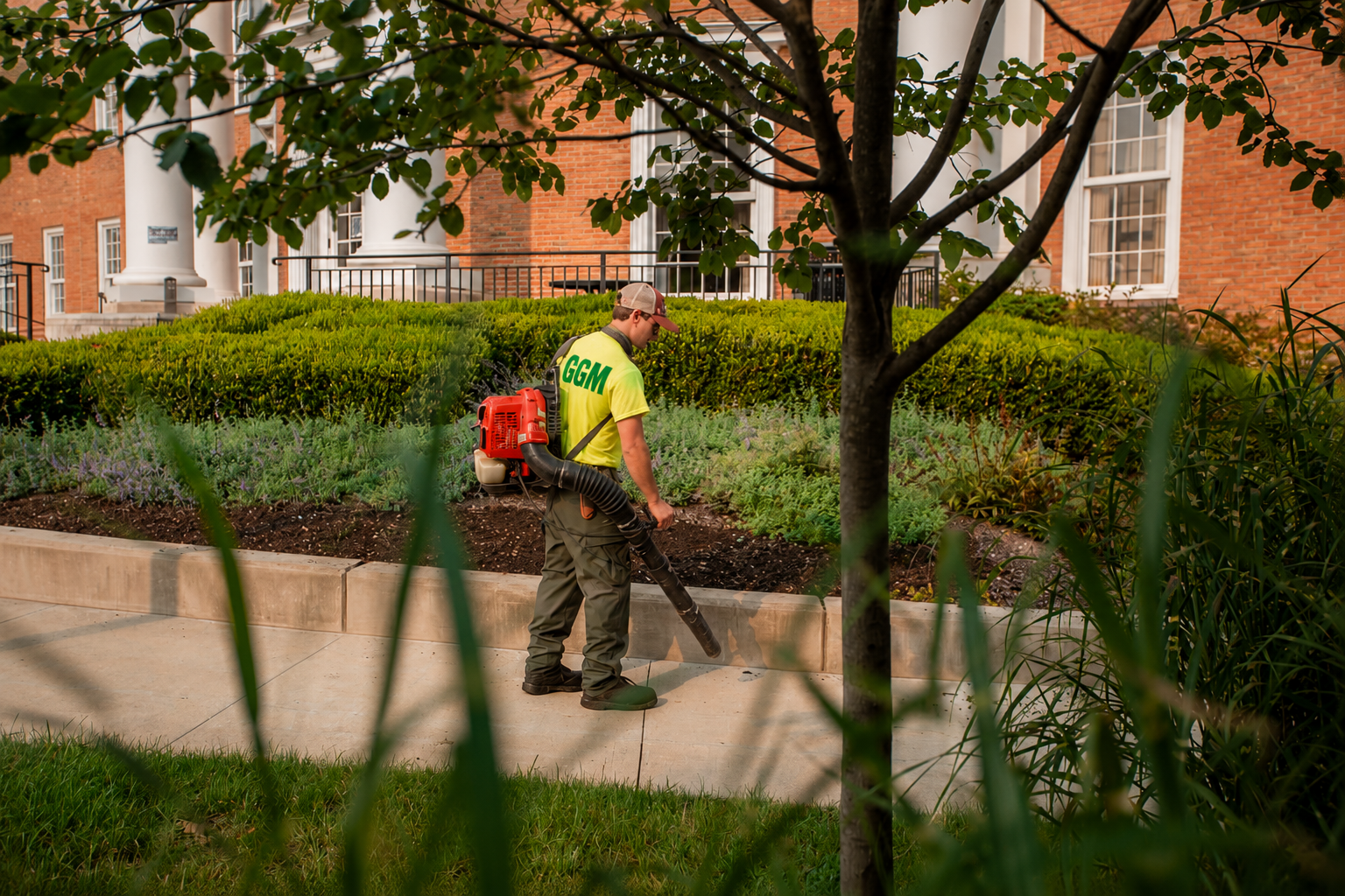 Seasonal Cleanup